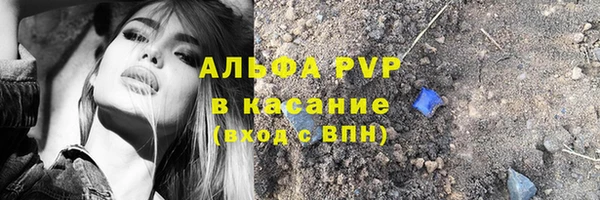 ГАЛЛЮЦИНОГЕННЫЕ ГРИБЫ Кукмор