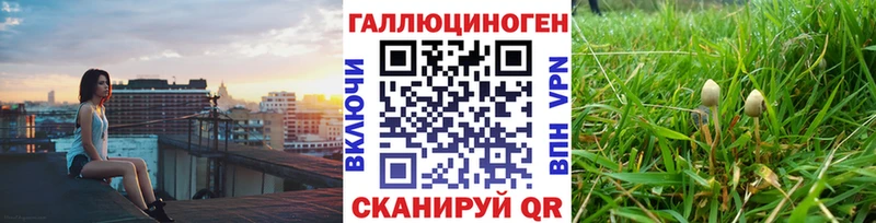 Псилоцибиновые грибы ЛСД  ссылка на мегу ONION  Борисоглебск 