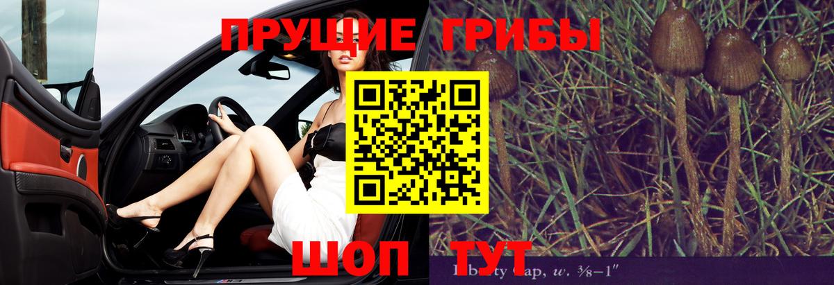Галлюциногенные грибы Cubensis  Вход с VPN  Борисоглебск  Псилоцибиновые грибы GOLDEN TEACHER 